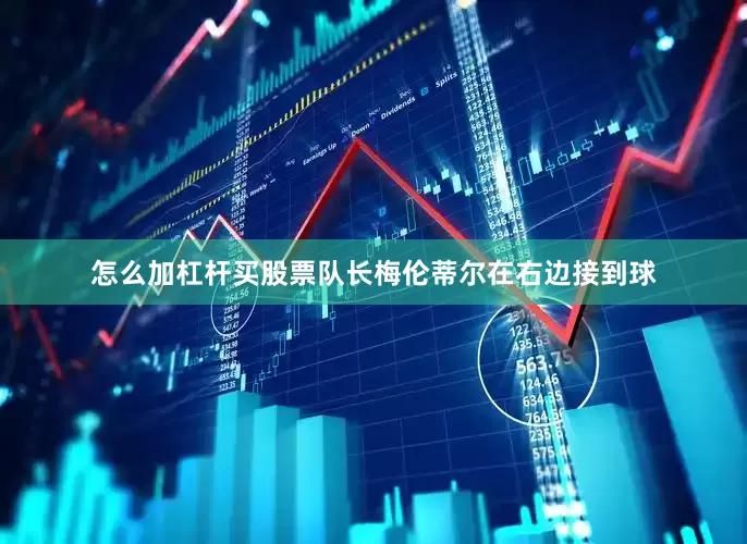 怎么加杠杆买股票队长梅伦蒂尔在右边接到球