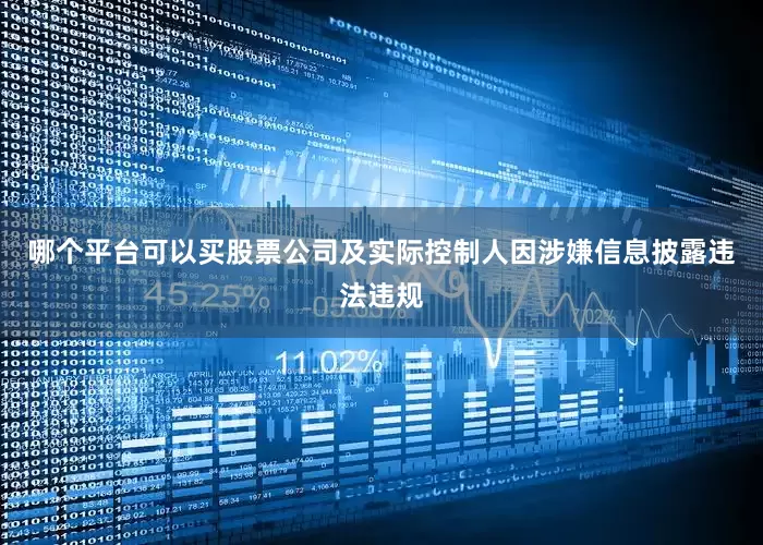 哪个平台可以买股票公司及实际控制人因涉嫌信息披露违法违规