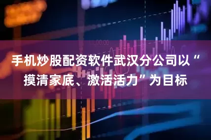 手机炒股配资软件武汉分公司以“摸清家底、激活活力”为目标